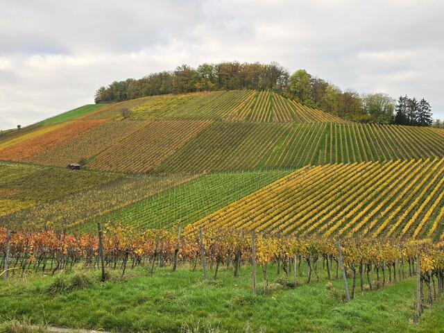 Foto: Heidrun Rosenberger