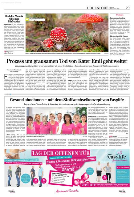 Das Fliegenpilze-Motiv von Uschi Dugulin ist das Bild des Monats Oktober für Hohenloher und bereits am 4. November in der Zeitung zu bewundern. | Foto: HSt, Uschi Dugulin