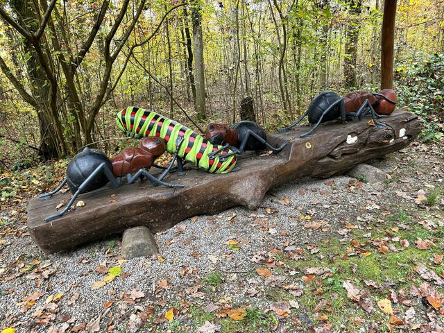 Foto: Heide Böllinger aus Bad Friedrichshall