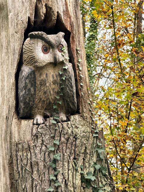 Foto: Heide Böllinger aus Bad Friedrichshall