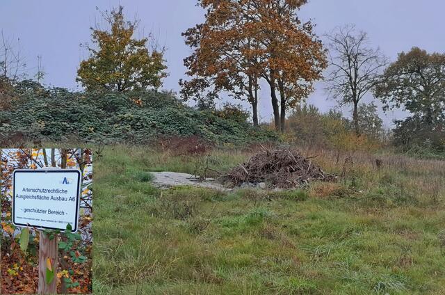 Ausgleichsflächen | Foto: WandernGabyErich