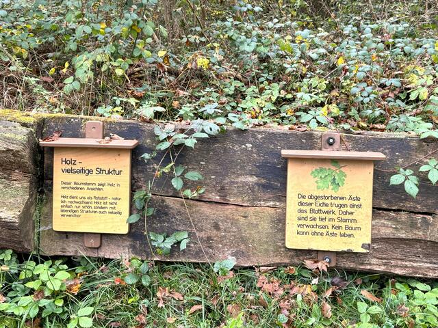 Foto: Heide Böllinger aus Bad Friedrichshall