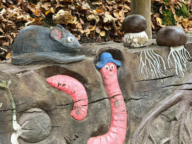 Foto: Heide Böllinger aus Bad Friedrichshall