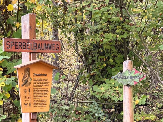 Foto: Heide Böllinger aus Bad Friedrichshall