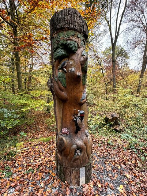 Foto: Heide Böllinger aus Bad Friedrichshall