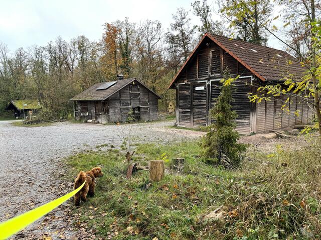 Foto: Heide Böllinger aus Bad Friedrichshall