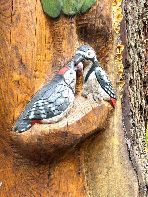 Foto: Heide Böllinger aus Bad Friedrichshall