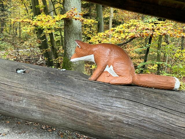 Foto: Heide Böllinger aus Bad Friedrichshall