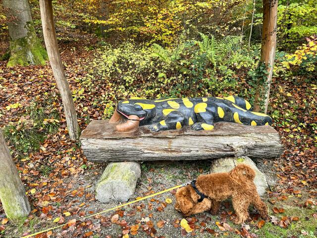 Foto: Heide Böllinger aus Bad Friedrichshall