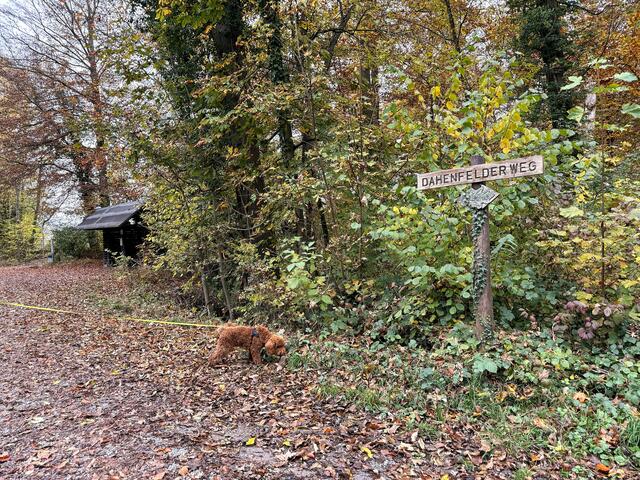 Dahenfelder Bahnhof | Foto: Heide Böllinger aus Bad Friedrichshall