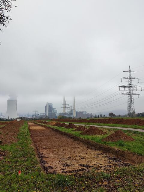 Sondierungs-Grabungen für die künftige Straße | Foto: Aurelia Kling
