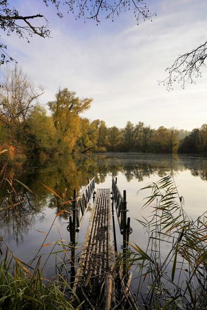 Foto: Ulrich Seidel