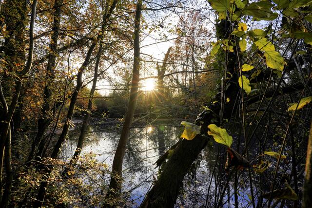 Foto: Ulrich Seidel