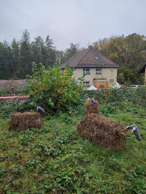 Socken Recycling | Foto: Aurelia Kling