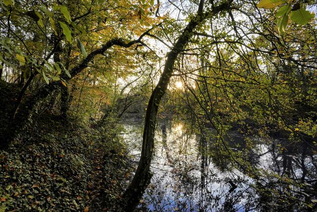 Foto: Ulrich Seidel