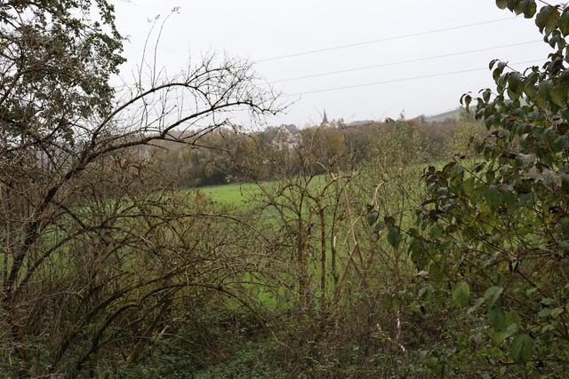Blick auf Gommersdorfer Kirchturm | Foto: Marga Specht