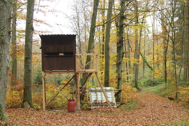 recht groß | Foto: Ralf Röser