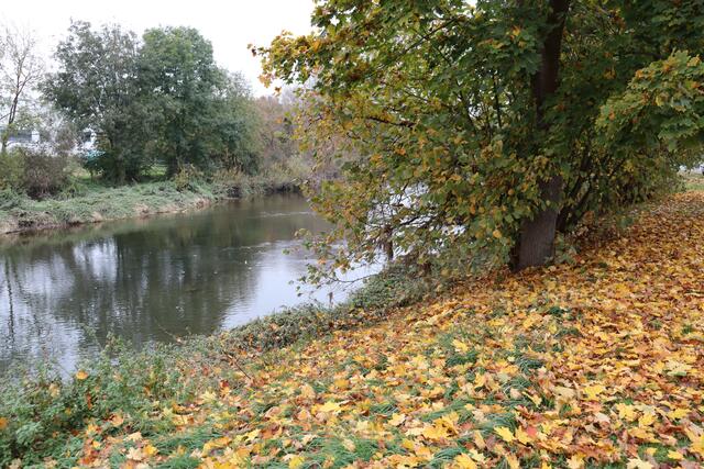 Blick auf die Jagst | Foto: Marga Specht