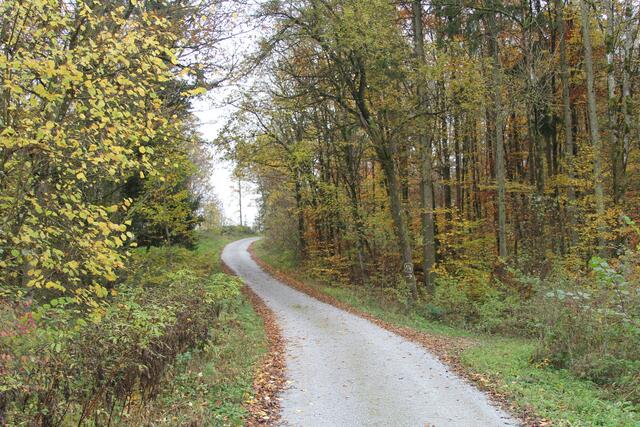 da hoch | Foto: Ralf Röser