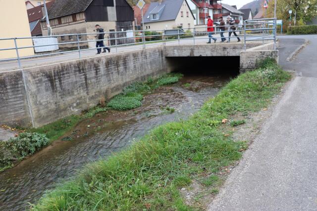 Brückle über den Ginsbach | Foto: Marga Specht