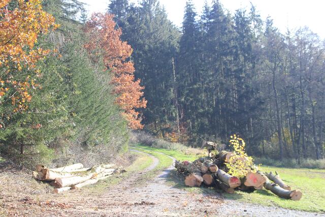 da geht es wieder zurück | Foto: Ralf Röser