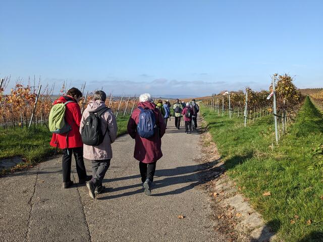 Rückweg | Foto: privat