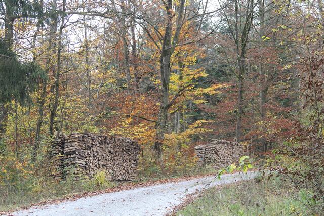 und weiter | Foto: Ralf Röser