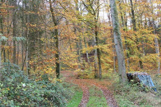 kurzer Abstecher | Foto: Ralf Röser