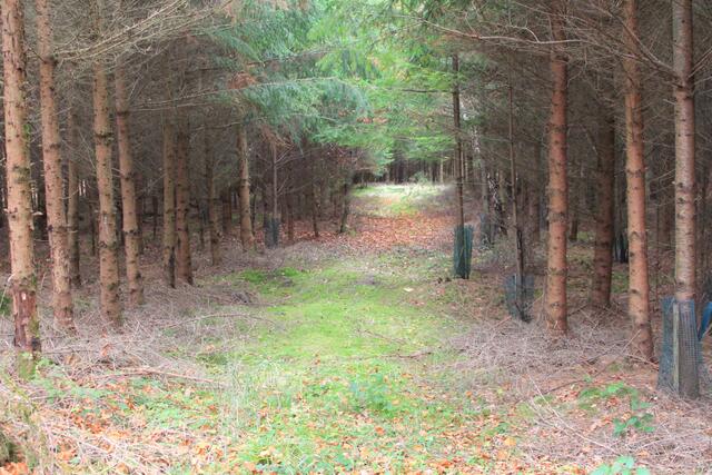 uiui | Foto: Ralf Röser