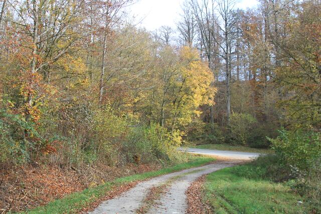 da geht es später wieder zurück, wir gehen aber noch etwas in die andere Richtung | Foto: Ralf Röser