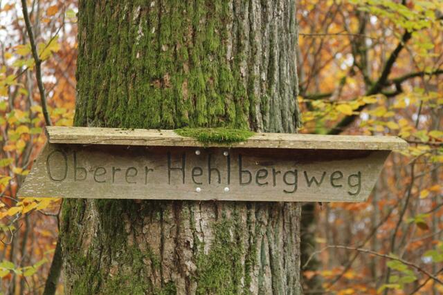 Info | Foto: Ralf Röser