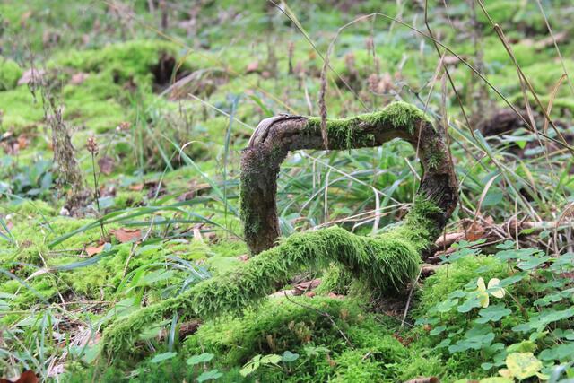 wow | Foto: Ralf Röser