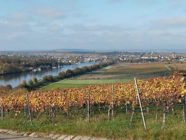 Weinberge | Foto: privat
