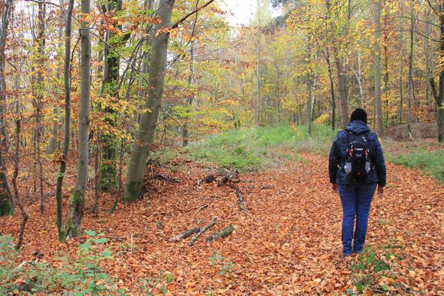 Schatzi😍😍😍 | Foto: Ralf Röser