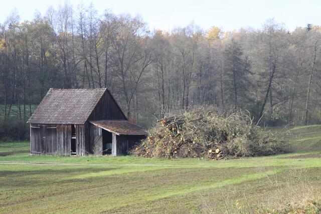 cool | Foto: Ralf Röser
