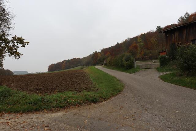 Einmündung Wiesenweg Richtung Altkrautheim | Foto: Marga Soecht