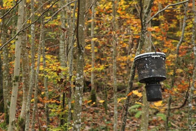 ??? | Foto: Ralf Röser