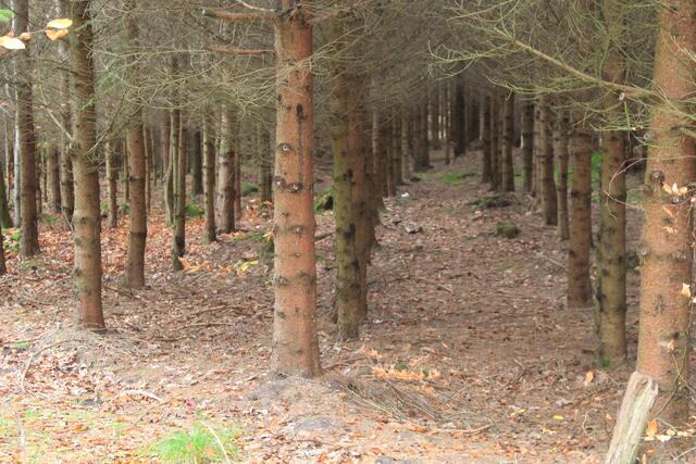 war in echt ziemlich dunkel | Foto: Ralf Röser
