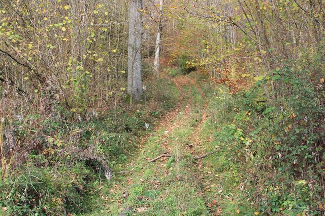 da kamen wir runter | Foto: Ralf Röser