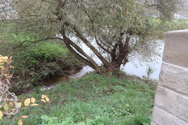 Einmündung Ginsbach in die Jagst | Foto: Marga Specht