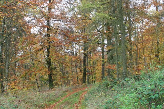und weiter | Foto: Ralf Röser