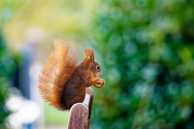 Mjammmm 😊 | Foto: WKY