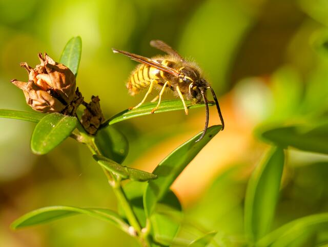 Foto: Eigenes Bild TB