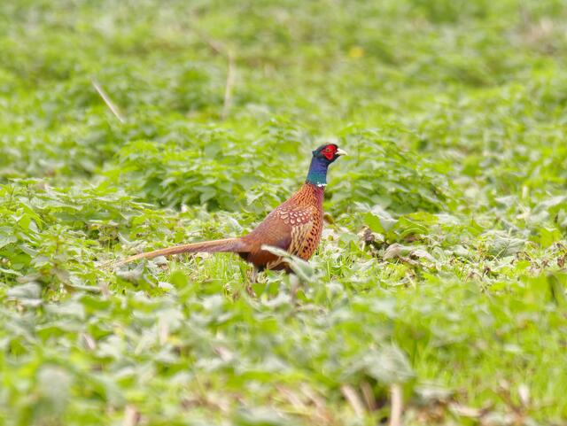 Foto: Eigenes Bild TB