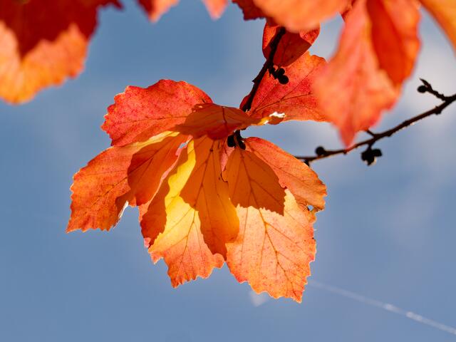 Foto: Eigenes Bild TB