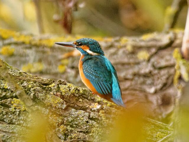 Foto: Eigenes Bild TB