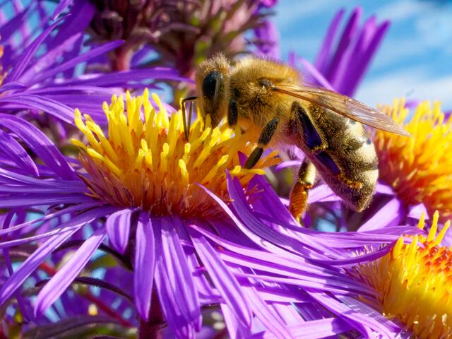 Foto: Eigenes Bild TB