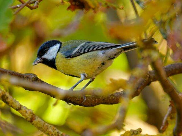 Foto: Eigenes Bild TB