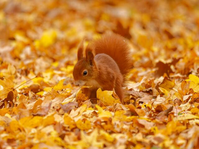 Foto: Eigenes Bild TB