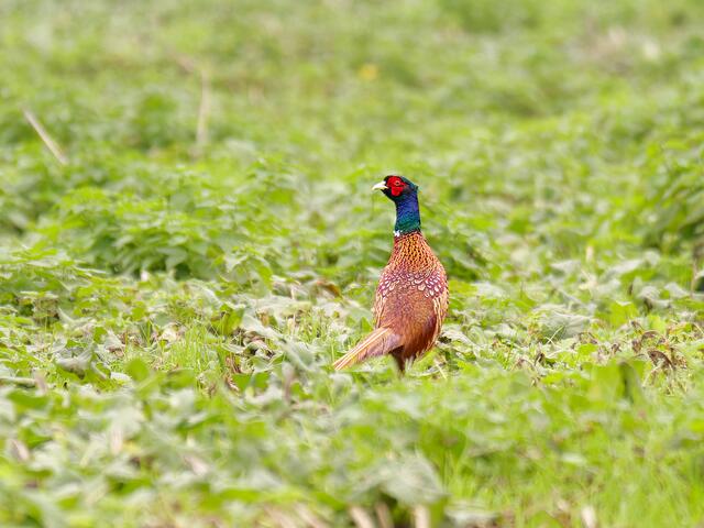 Foto: Eigenes Bild TB